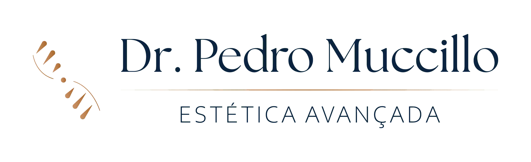 Logo DPM Horizontal Azul e Dourado